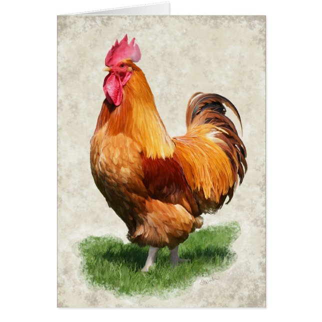 Carte de jeune coq (Devant)