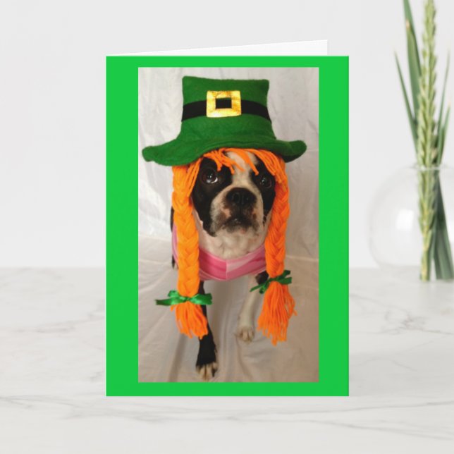 Carte de jour de Boston Terrier St Patrick (Devant)