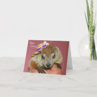 Carte de jour de Clara Groundhog