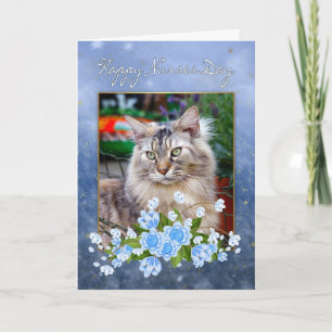 Carte de jour de l'infirmière, Maine Coon Chat, Fê