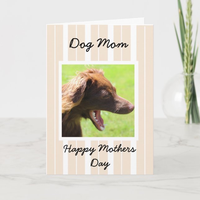 Carte de jour de mères pour des mamans de chien (Devant)