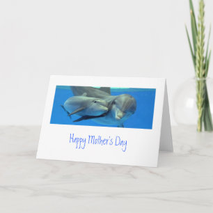 Carte de jour Dolphin Mother