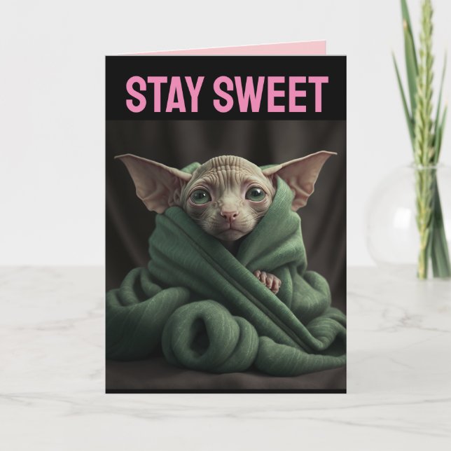 CARTE DE JOUR SPHINX CUTE CHAT SANS CHEVEUX BIG VA (Devant)