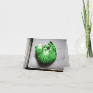 Carte de jour St. Patricks