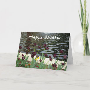 Carte de joyeux anniversaire