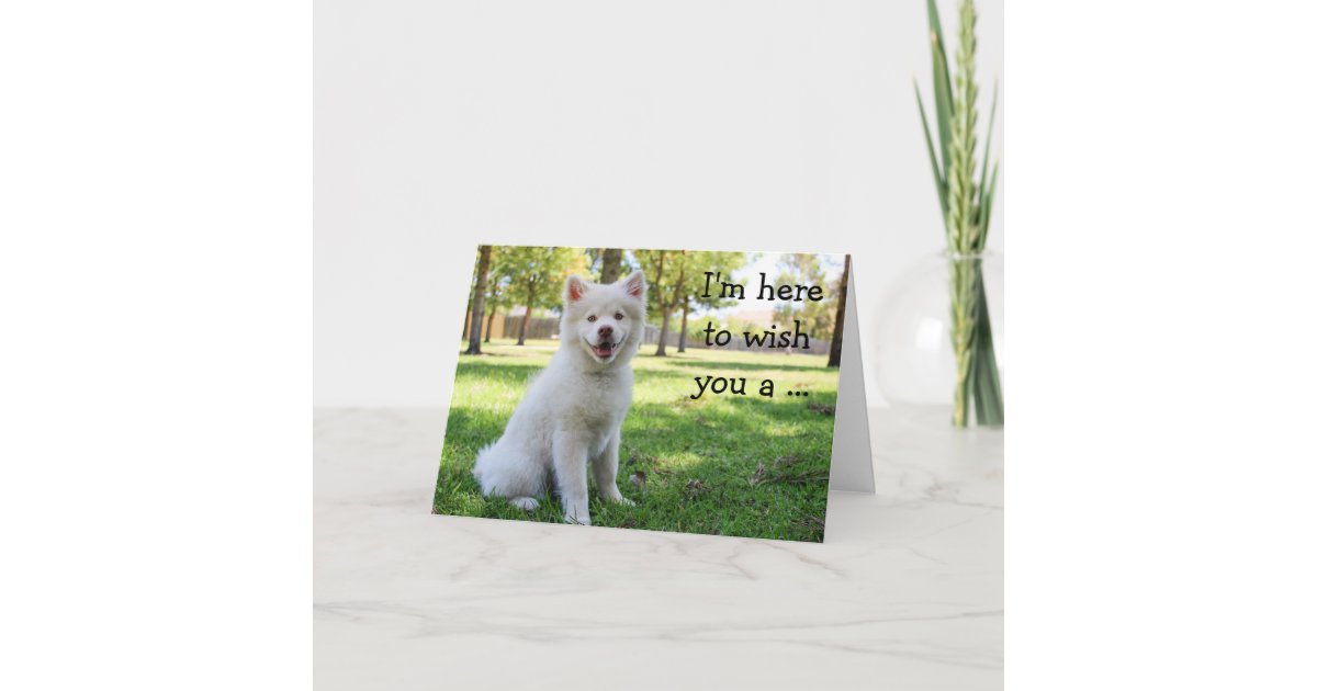 Carte De Joyeux Anniversaire Avec Le Chien Zazzle Ca