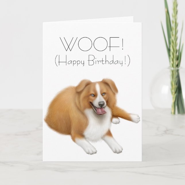 Carte de joyeux anniversaire de border collie (Devant)