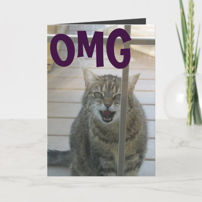 carte de joyeux anniversaire de chat d'omg (Devant)