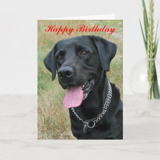 Carte De Joyeux Anniversaire De Chien De Labrador Zazzle Ca