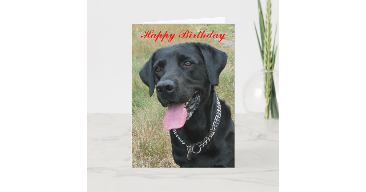 Carte De Joyeux Anniversaire De Chien De Labrador Zazzle Ca Carte De Joyeux Anniversaire De Chien De Labrador Zazzle Ca