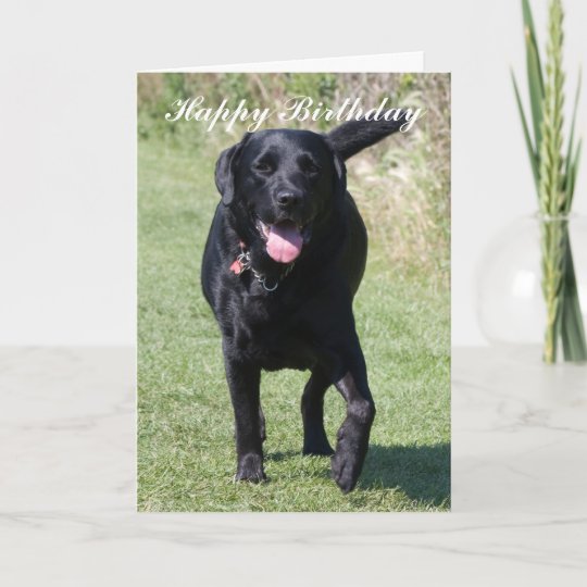 Carte De Joyeux Anniversaire De Chien Noir De Zazzle Ca