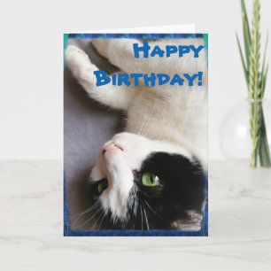 Carte de joyeux anniversaire de photo de chat