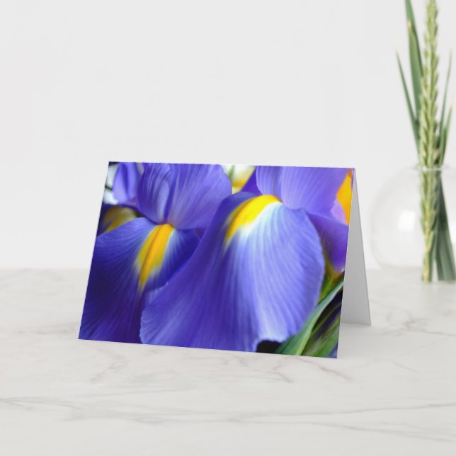 Carte de joyeux anniversaire d'iris (Devant)
