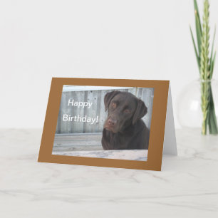 Carte de joyeux anniversaire - laboratoire de
