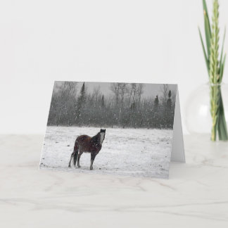 Carte de Joyeux Noël