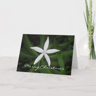 Carte de Joyeux Noël