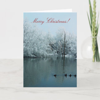 Carte de Joyeux Noël avec la neige, l'étang, et
