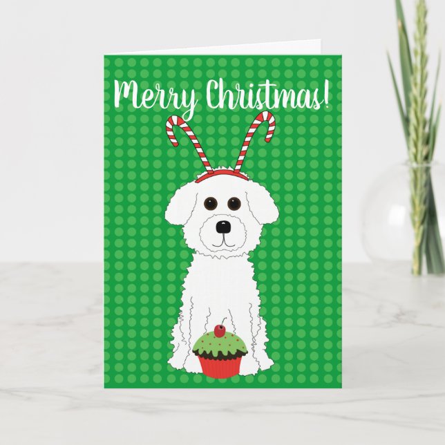 Carte de Joyeux Noël de Bichon Frise (Devant)