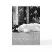 Carte de Joyeux Noël de Kitty