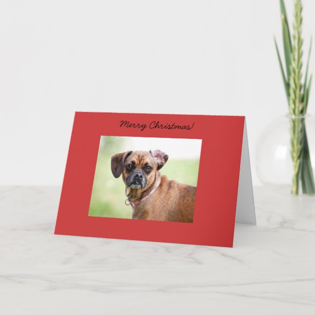 Carte de Joyeux Noël de Puggle (Devant)