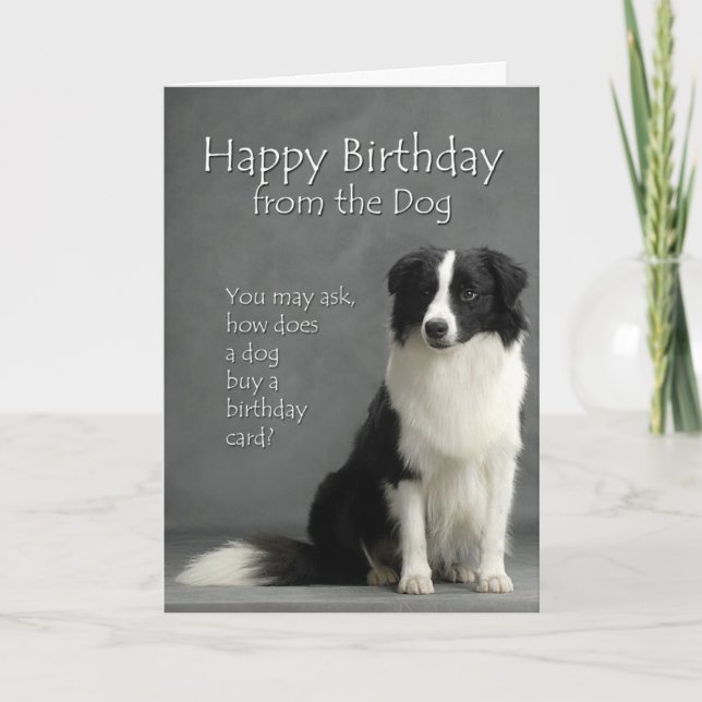 Carte De la Border Collie (Devant)