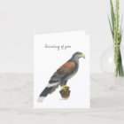 Carte de la Collection Falcon