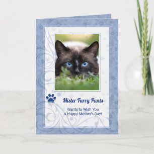 Carte de la fête des mères de chat à Periwinkle Photo en