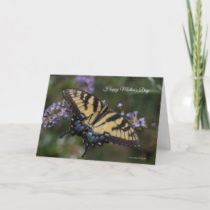 Carte de la fête des mères de Tiger Swallowtail or