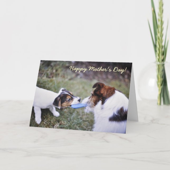 Carte de la fête des mères Jack Russell (Devant)