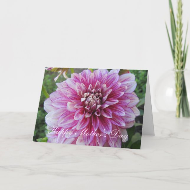 Carte de la fête des mères—Pink Dahlia (Devant)