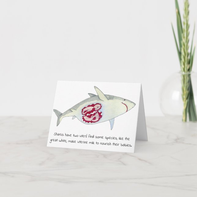 Carte de la fête des mères requin (Devant)