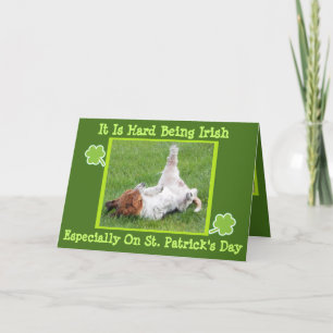 Carte de la Saint-Patrick amusante avec Basset & G