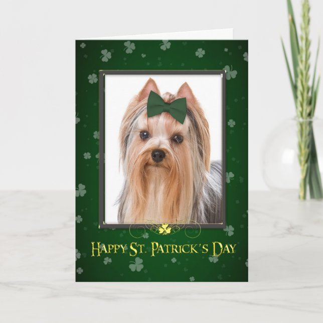 Carte de la Saint-Patrick pour Yorkie (Devant)
