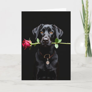 Carte de la Saint-Valentin au Labrador noir et ros