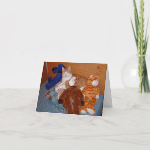 Carte de la Saint Valentin Chat et amis
