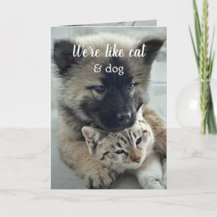 Carte de la Saint-Valentin de Chat et Chien le plu
