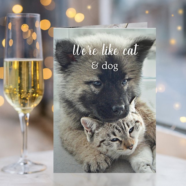 Carte de la Saint-Valentin de Chat et Chien le plu (Adorable Valentine's Day card featuring a sweet cat and dog)