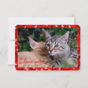 Carte de la Saint-Valentin pour chat mignon