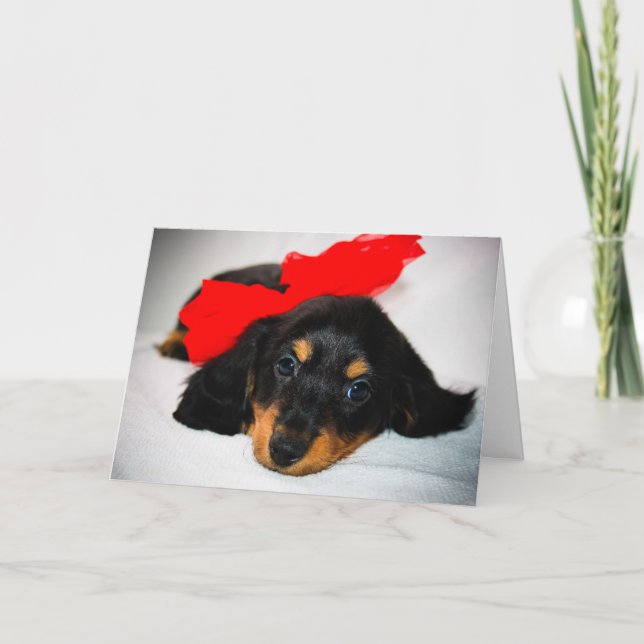 Carte de la Saint-Valentin pour le chiot de la min (Devant)