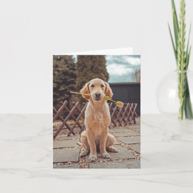 Carte de la sympathie du chien (Devant)