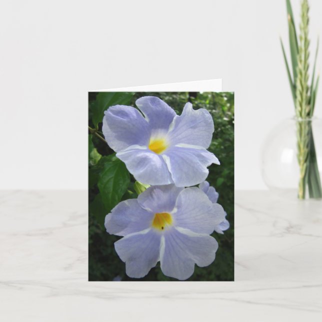 Carte de la Thunbergia Fairy Moon Photo pliée Note (Devant)