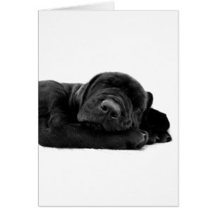 Carte de laboratoire de sommeil