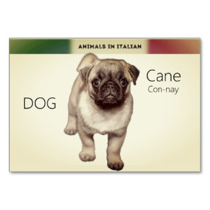 Carte de langue italienne Chien Animaux Flash