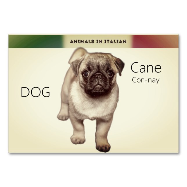 Carte de langue italienne Chien Animaux Flash | (Devant)
