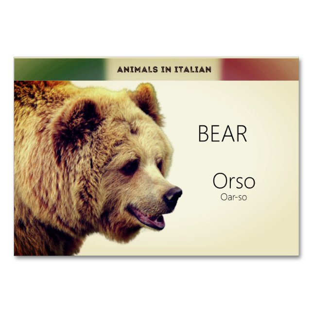 Carte de langue italienne Ours Animal Flash | Cart (Devant)