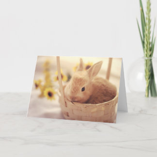 Carte de lapin de Pâques