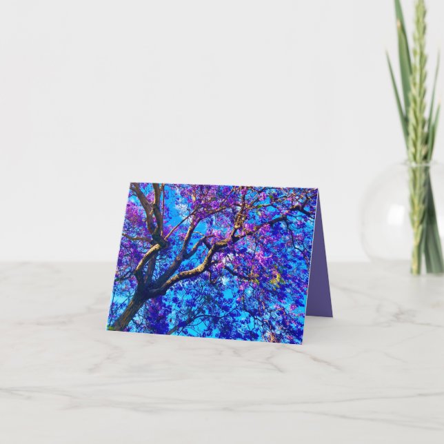Carte de l'arbre de Jacaranda  (Devant)