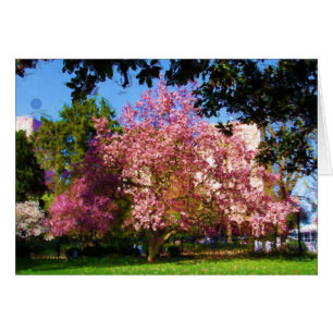 Carte de l'arbre Magnolia
