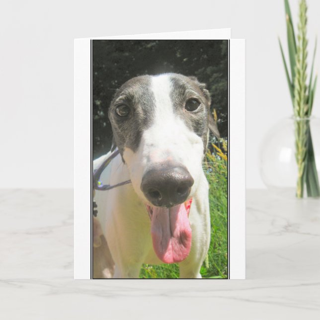 Carte de lévrier (Devant)