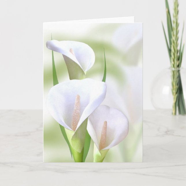 Carte de Lilly de calla (Devant)